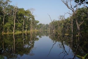 Chitwan – Wildlife, Jungle Safari & Tharu Culture