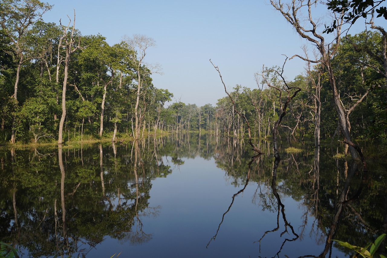 Chitwan – Wildlife, Jungle Safari & Tharu Culture