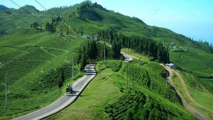 Ilam – The Land of Tea Gardens